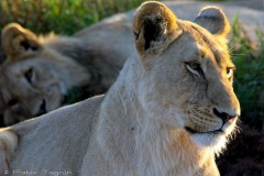 AfricadoSul-14