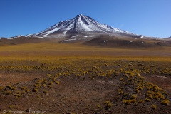 Atacama-17