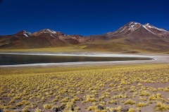 Atacama-18