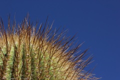 Atacama-27