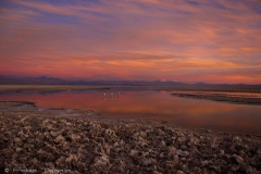 Atacama-47