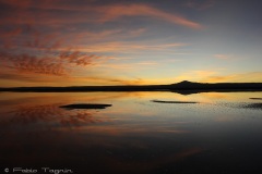 Atacama-49