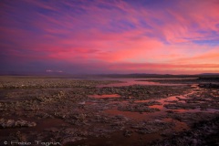 Atacama-51