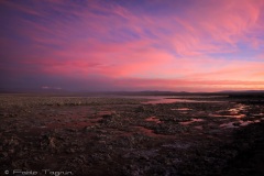 Atacama-52