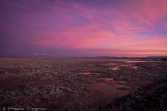 Atacama-53