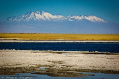 Atacama-7