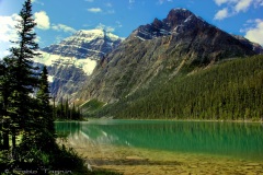 Mt. Edith Cavell Lake