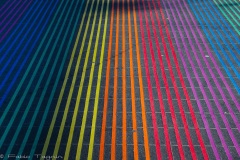 Cidade-37