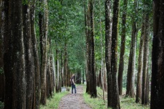 Indochina-59