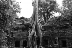 Indochina-71
