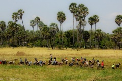 Indochina-74