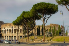 Roma - Coliseu