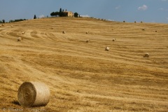 Montalcino-Pienza