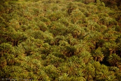 Marrocos-7