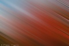 Motion-1