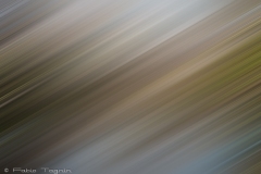 Motion-109