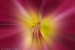 Motion-11