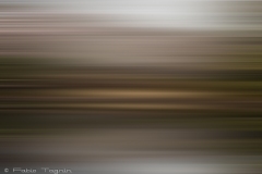Motion-110