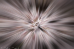 Motion-111