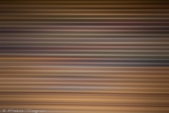 Motion-113