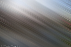 Motion-115