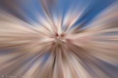 Motion-116