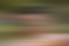 Motion-117