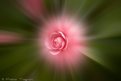 Motion-118