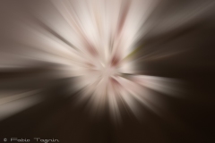 Motion-119
