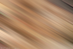 Motion-120