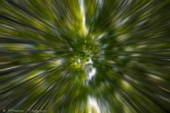 Motion-121