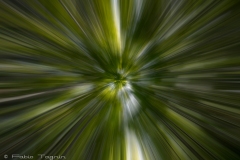 Motion-122