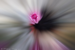 Motion-123
