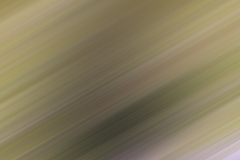 Motion-126