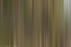 Motion-128