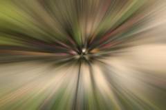 Motion-129