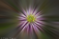 Motion-130