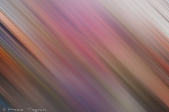 Motion-131
