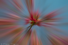 Motion-132