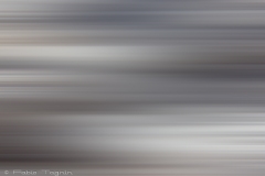 Motion-16