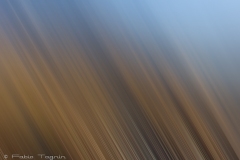 Motion-18