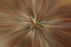 Motion-19