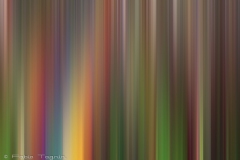 Motion-20