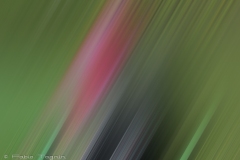 Motion-27