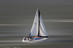 Motion-28