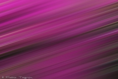 Motion-29