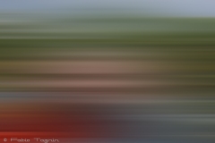 Motion-31