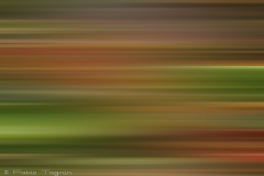 Motion-32