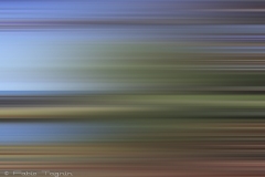 Motion-37