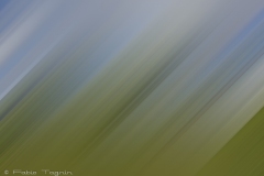Motion-39